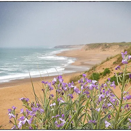 公寓 Les Dunes De Blossac 100m De La Avec Garage *