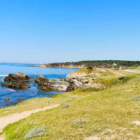 Les Dunes De Blossac 100m De La Avec Garage Apartment *