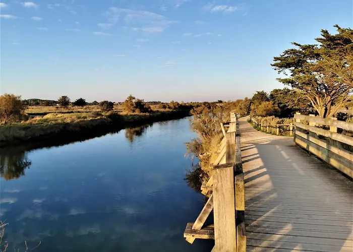 公寓 Les Dunes De Blossac 100m De La Avec Garage 莱萨布勒-多洛讷